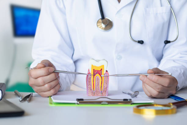 Best Urgent Care for Lost Fillings or Crowns in North Industry, OH
